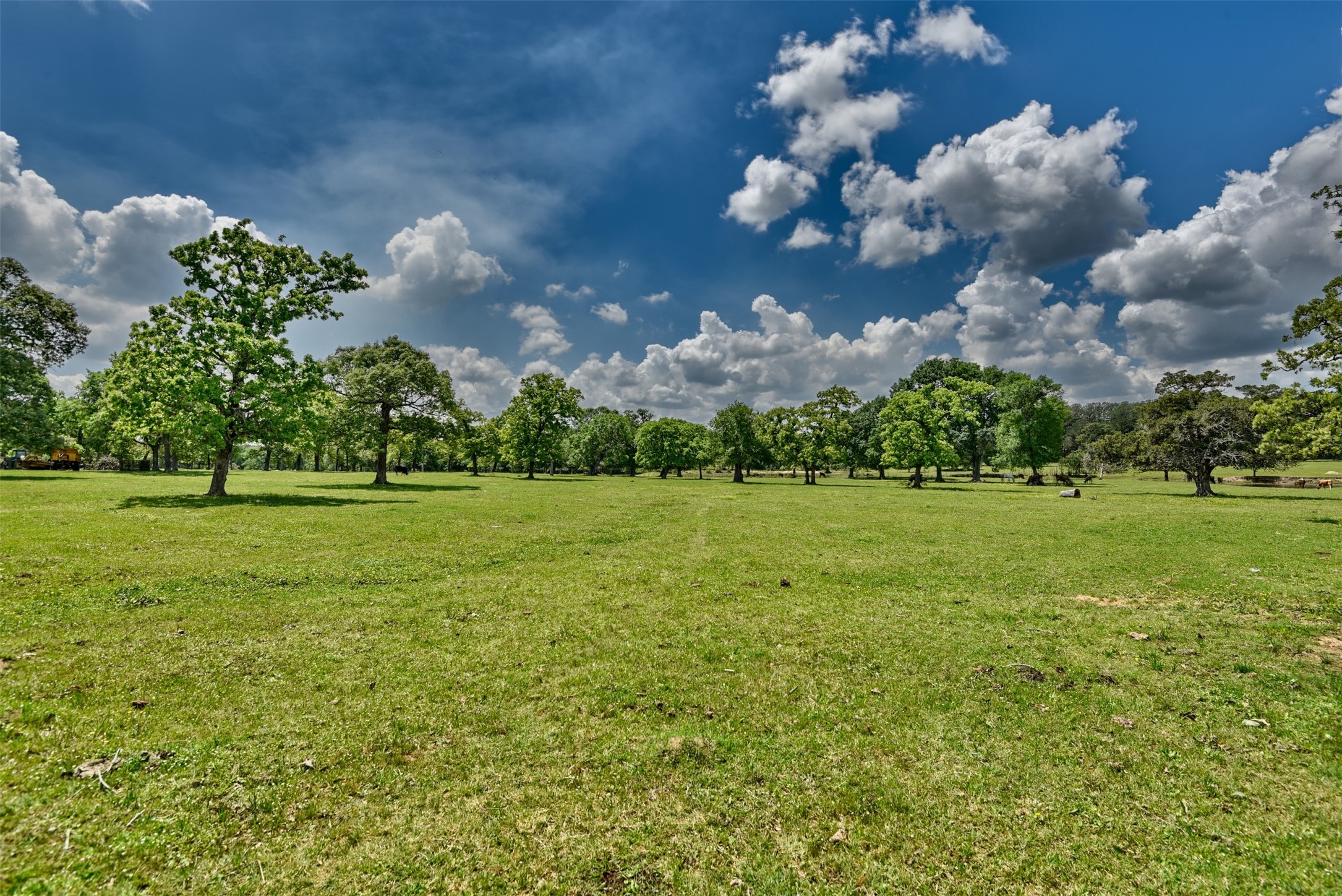 32023 Courtney Road Navasota, TX 77868 - Photo 25 of 37 a view of a building with garden