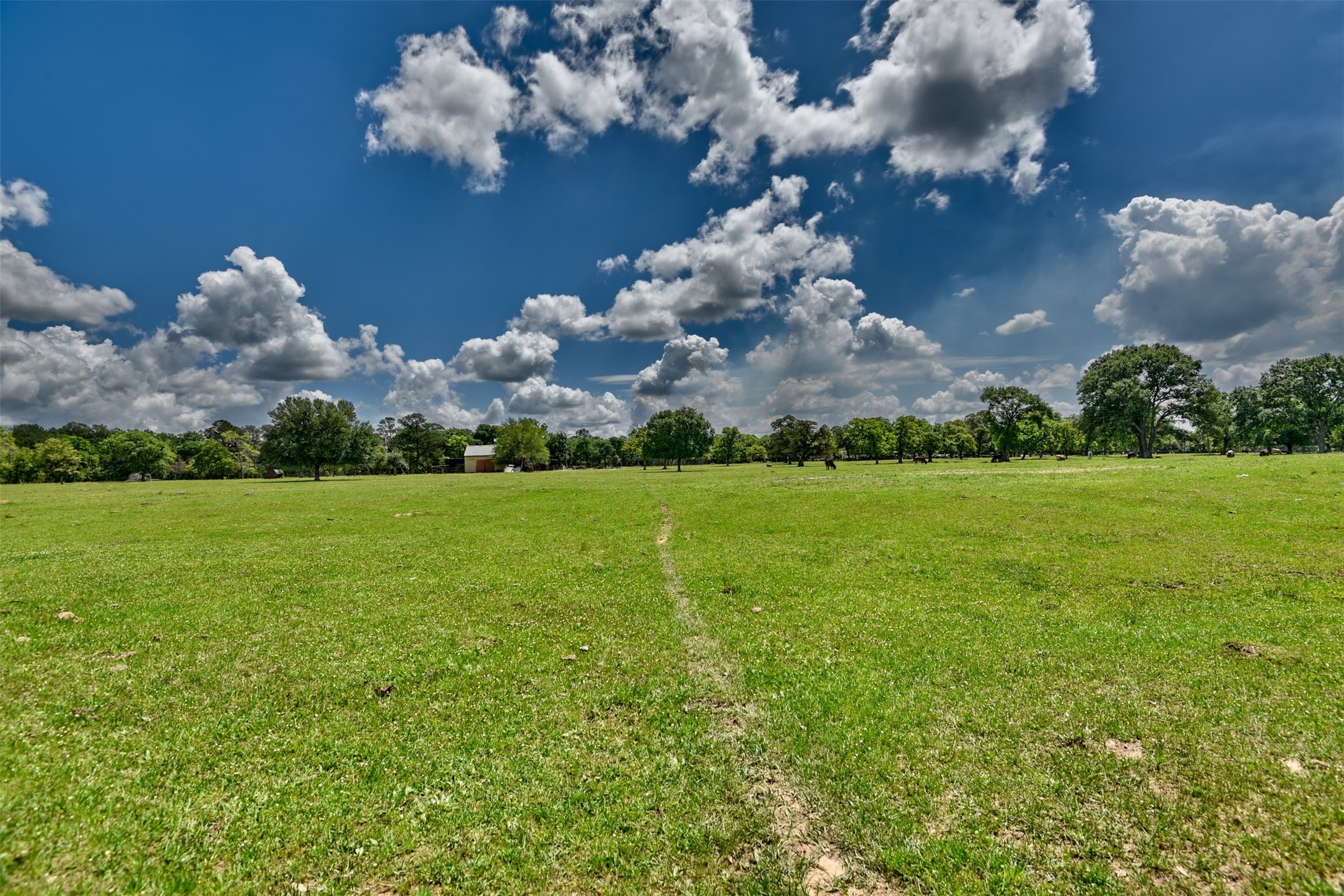 32023 Courtney Road Navasota, TX 77868 - Photo 26 of 37 a view of a building with yard