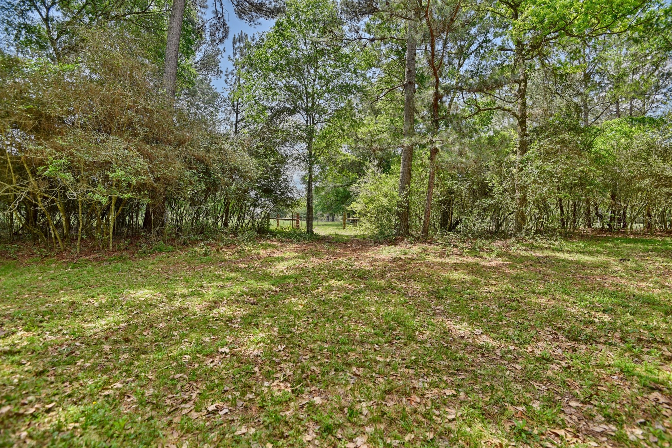 32023 Courtney Road Navasota, TX 77868 - Photo 29 of 37 a view of outdoor space with a lake view