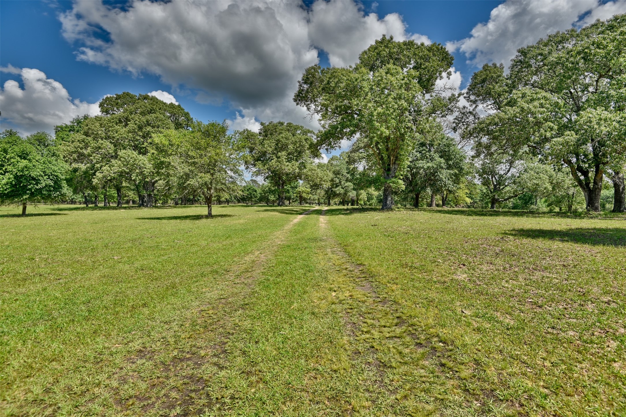 32023 Courtney Road Navasota, TX 77868 - Photo 31 of 37 a view of a green yard