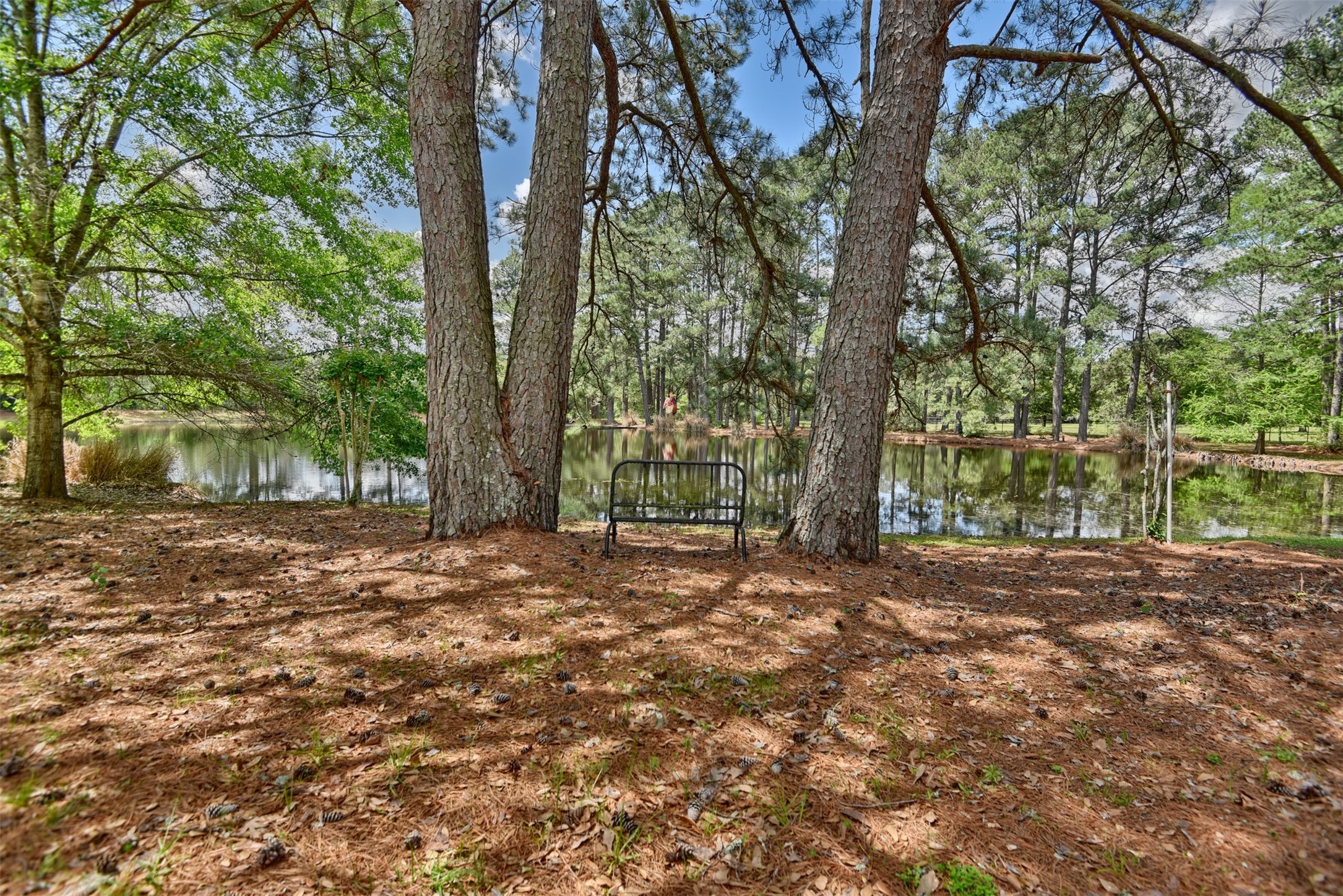 32023 Courtney Road Navasota, TX 77868 - Photo 34 of 37 a view of outdoor space with trees