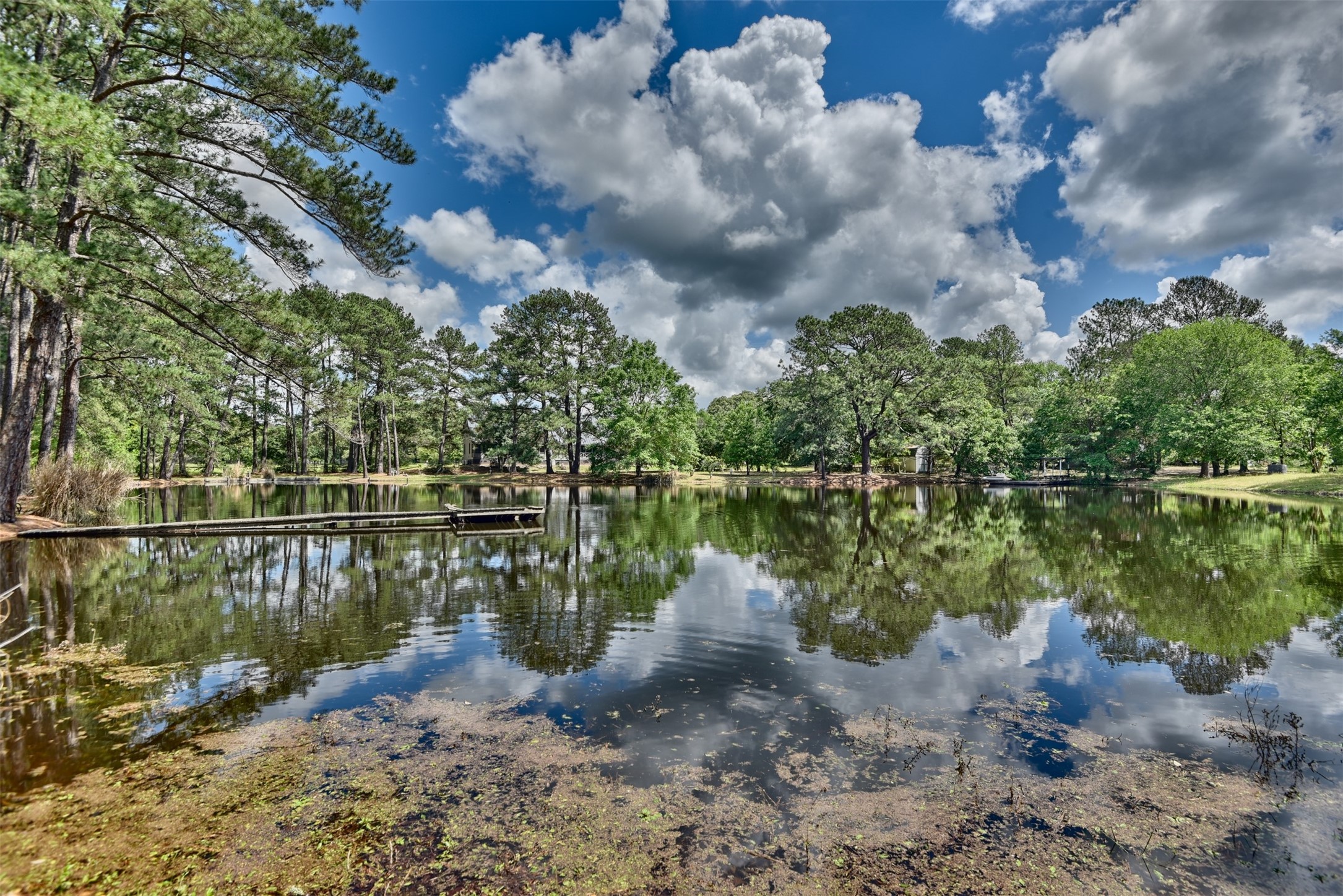 32023 Courtney Road Navasota, TX 77868 - Photo 36 of 37 a view of lake
