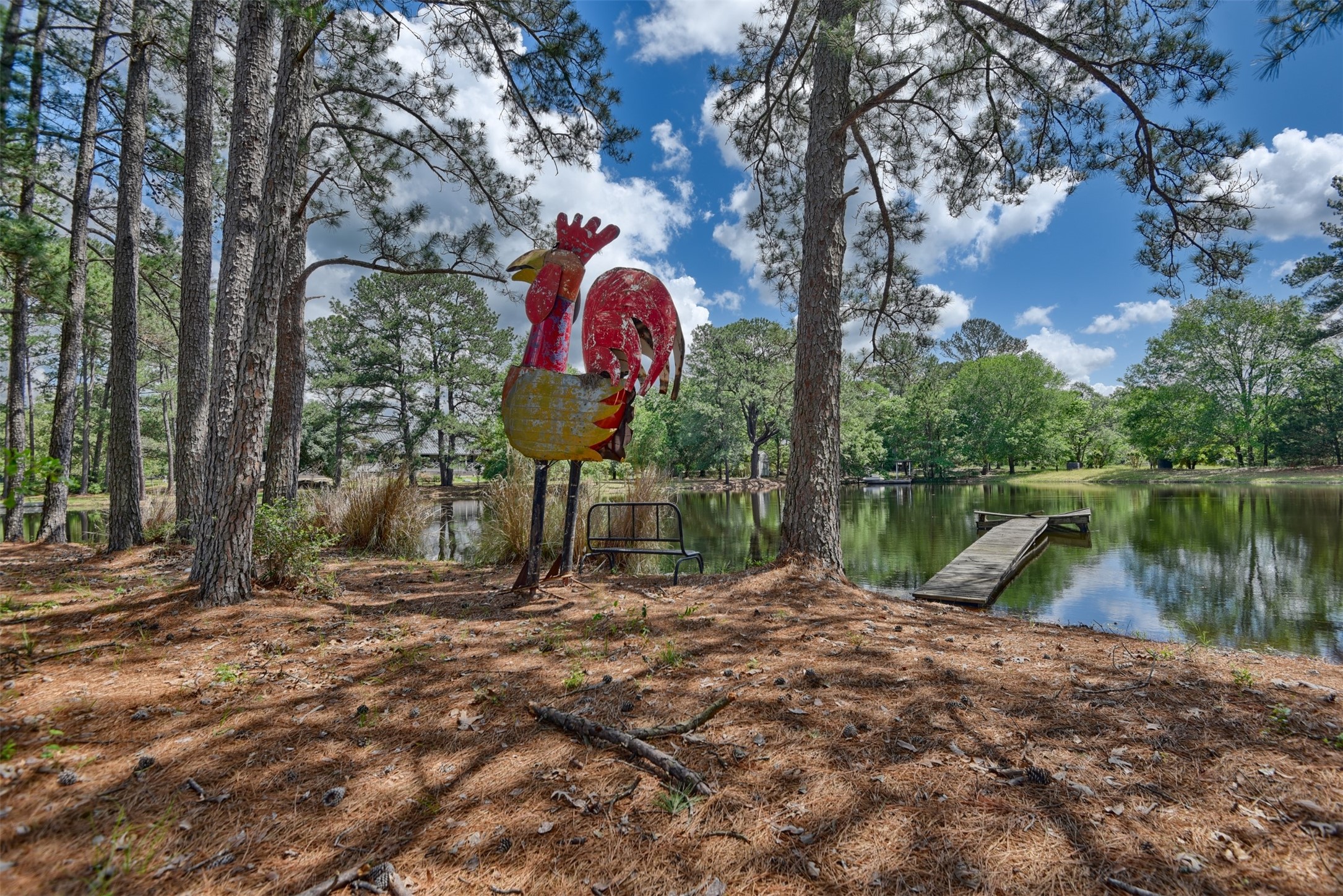 32023 Courtney Road Navasota, TX 77868 - Photo 37 of 37 a backyard of a house with lots of green space