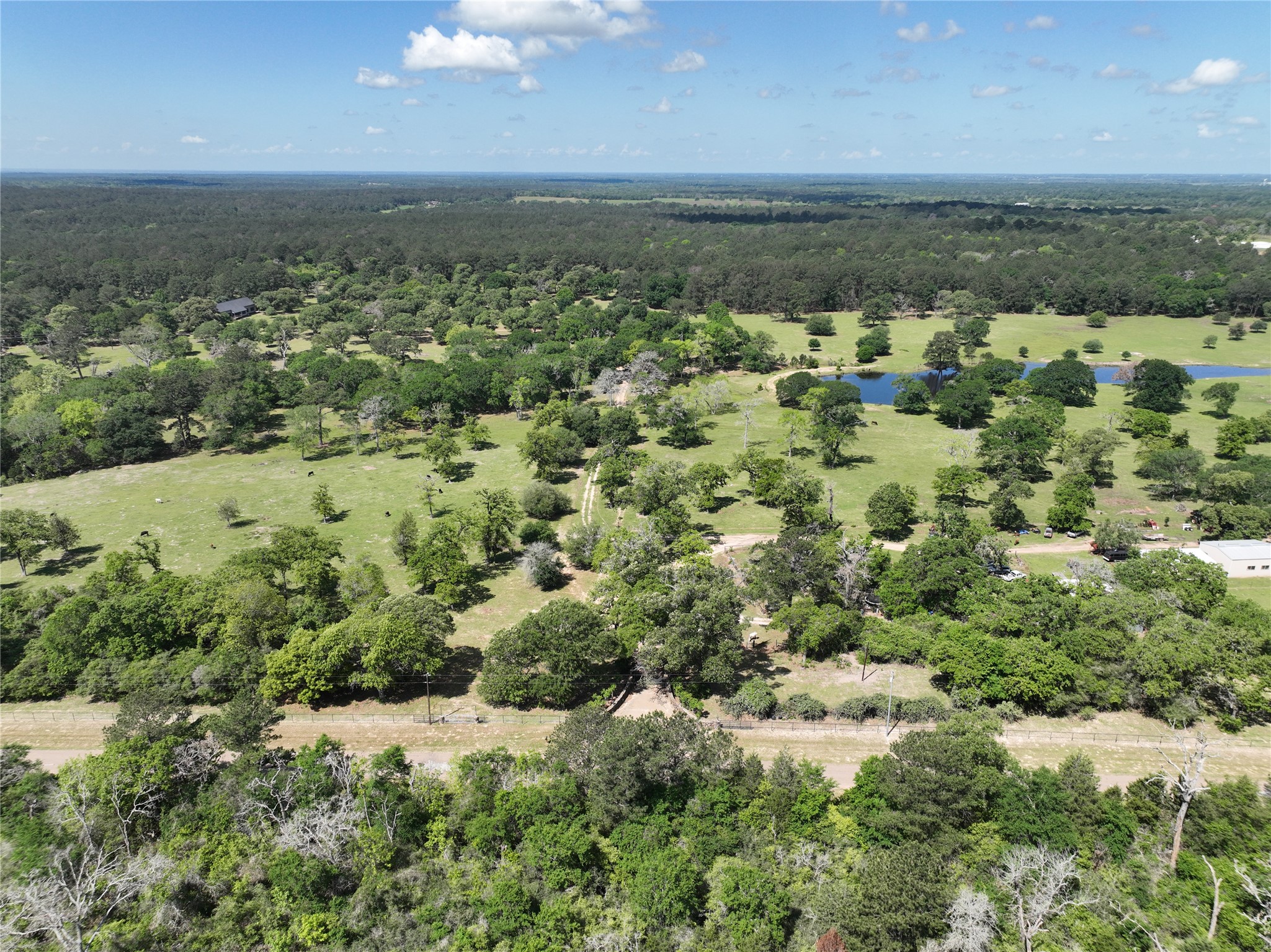 32023 Courtney Road Navasota, TX 77868 - Photo 4 of 37 a view of a green field