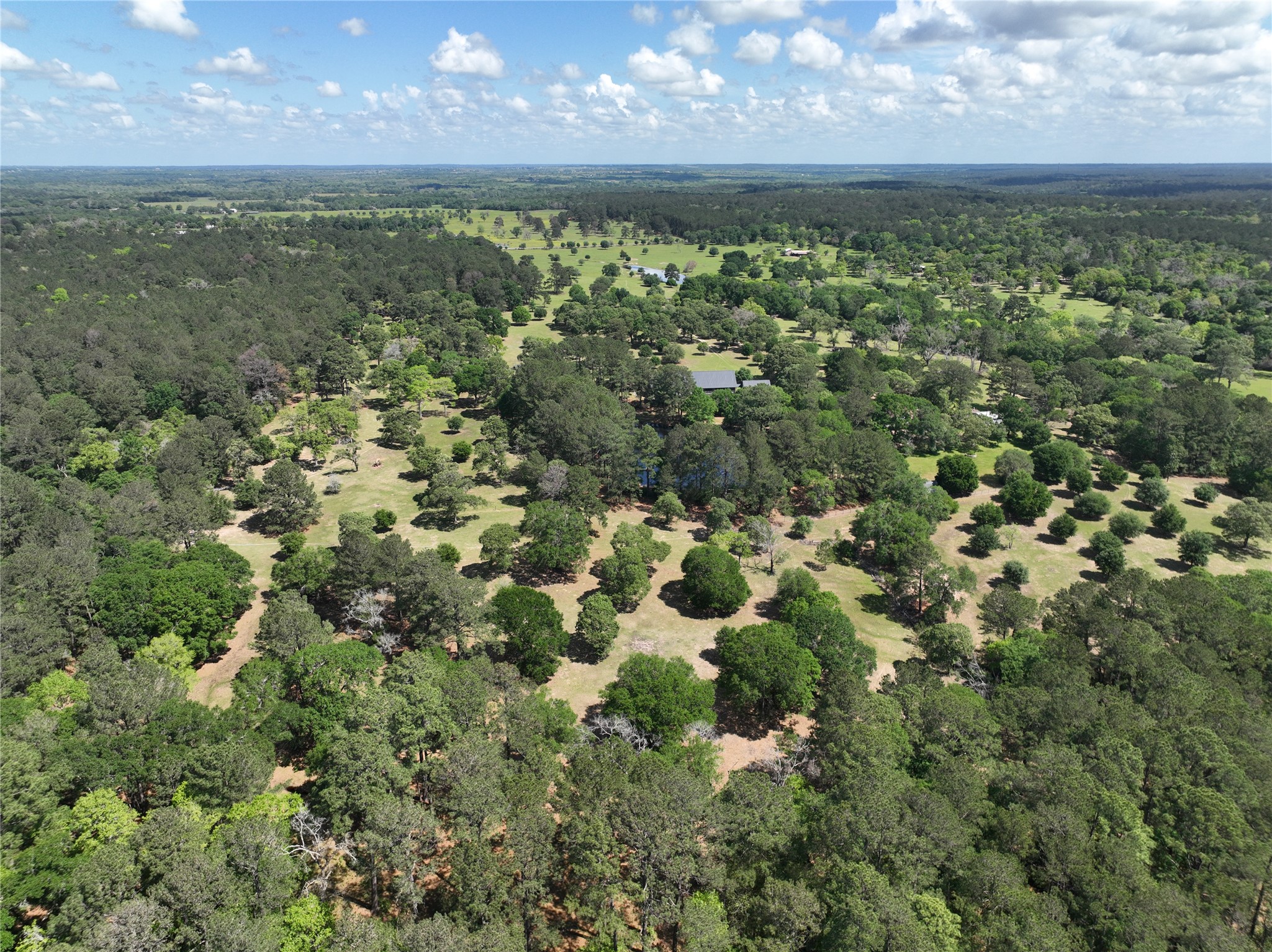 32023 Courtney Road Navasota, TX 77868 - Photo 9 of 37 a view of a lake from a yard