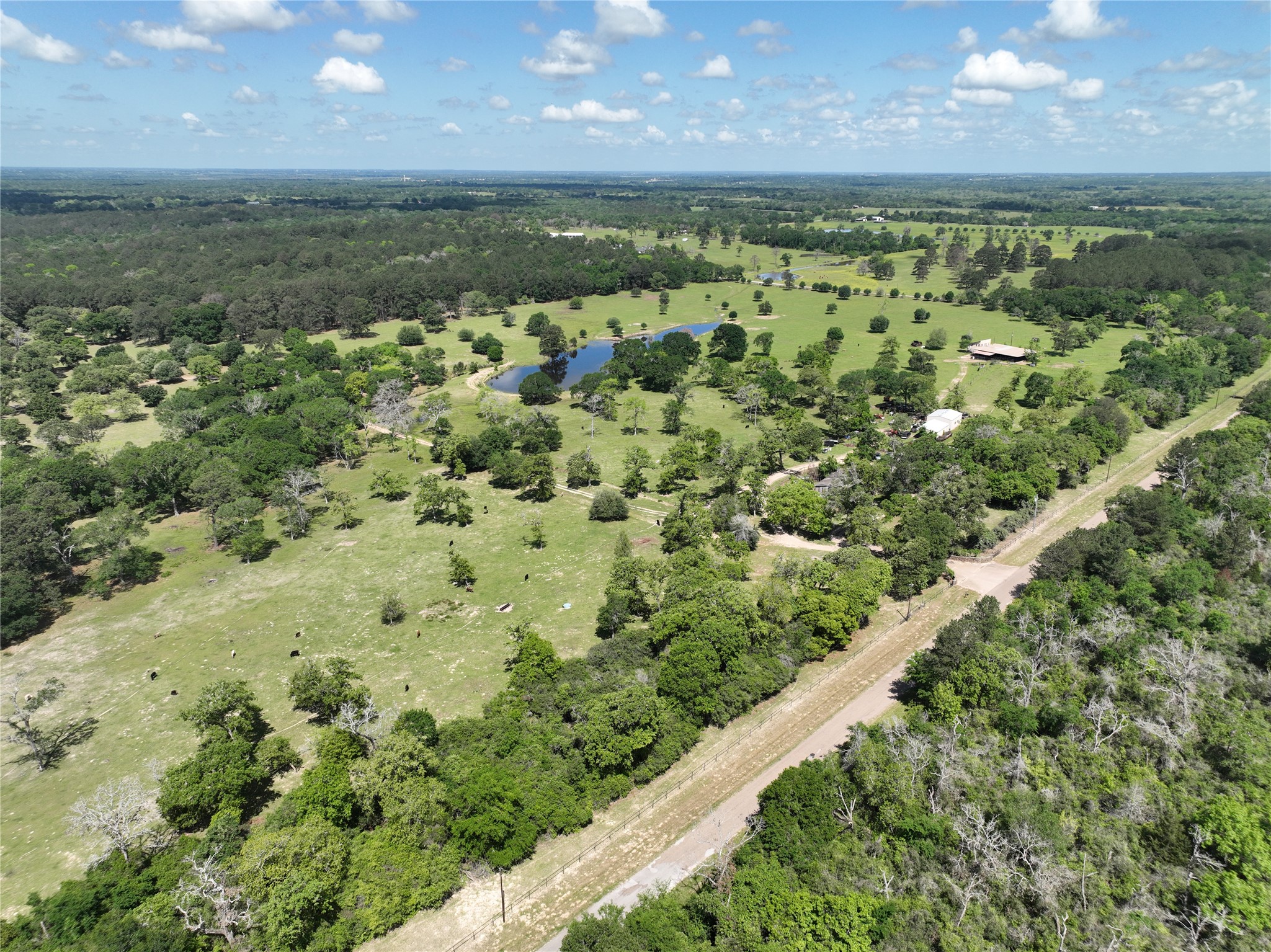 32023 Courtney Road Navasota, TX 77868 - Photo 10 of 37 a view of a yard