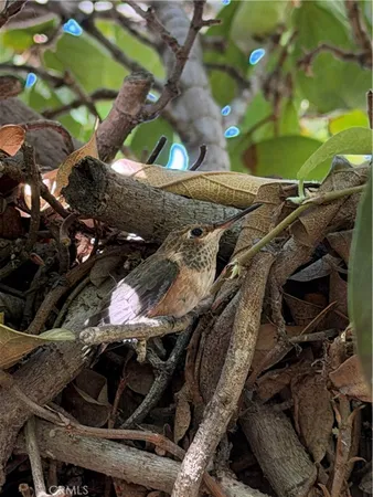 $6,300 | 4823 River Avenue, Unit A, Newport Beach, CA 92663