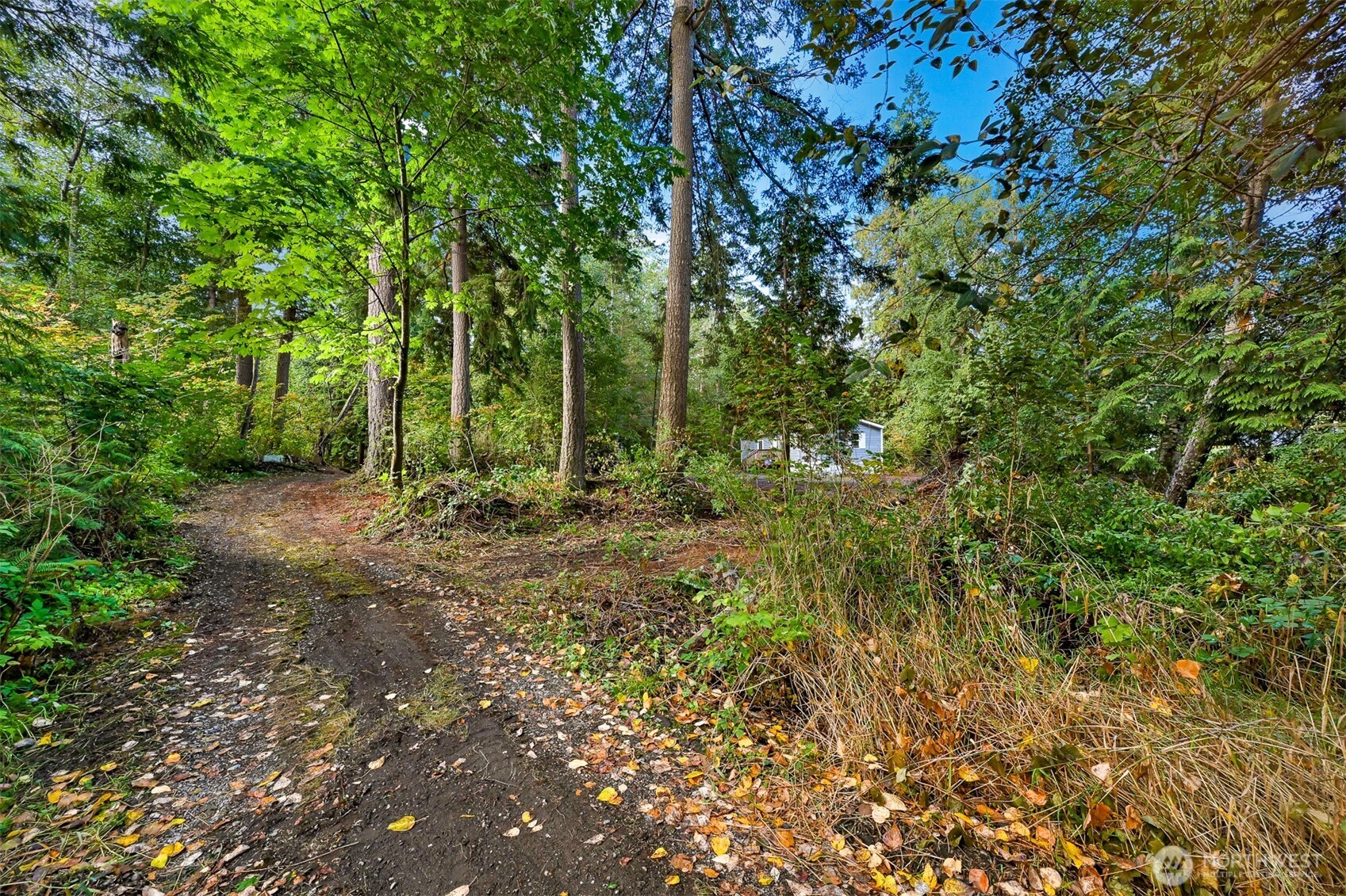 4257 Cody Road Blaine, WA 98230 - Photo 11 of 20