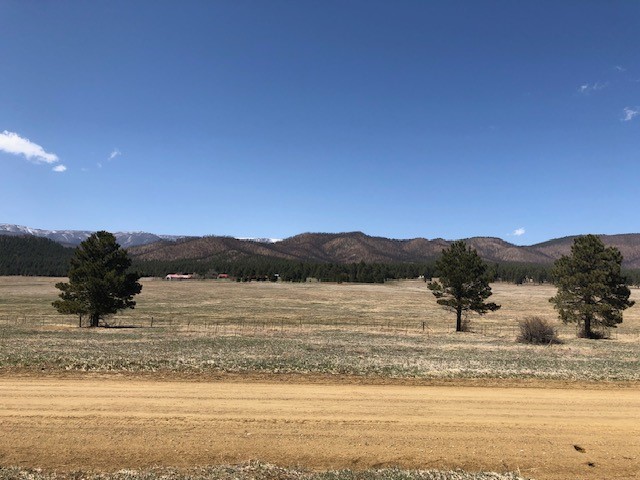 Lot 65 Patron Road Rociada, NM 87742 - Photo 5 of 14