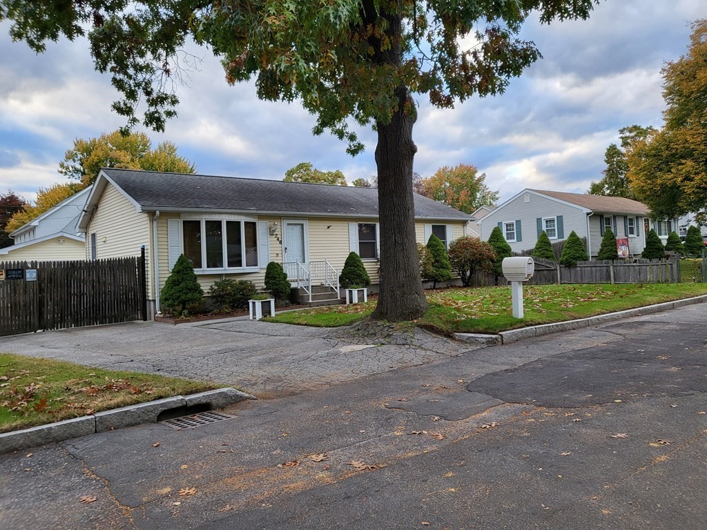 246 Lamont Street Springfield, MA 01119 - Photo 1 of 23 a view of a house with a small yard and a large tree