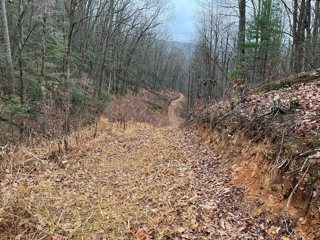 Tbd Burrell Mountain Road Murphy, NC 28906 - Photo 28 of 28