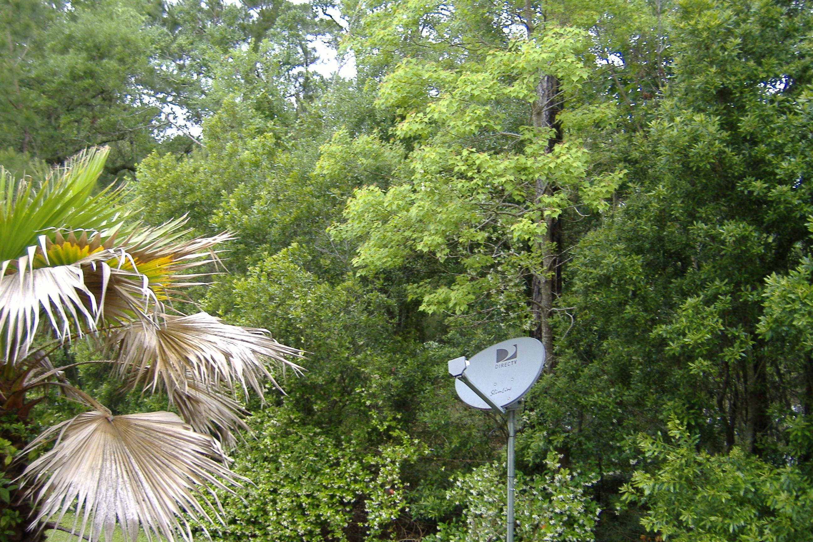 426 Doane Way Wando, SC 29492 - Photo 11 of 13 DSCF1486
