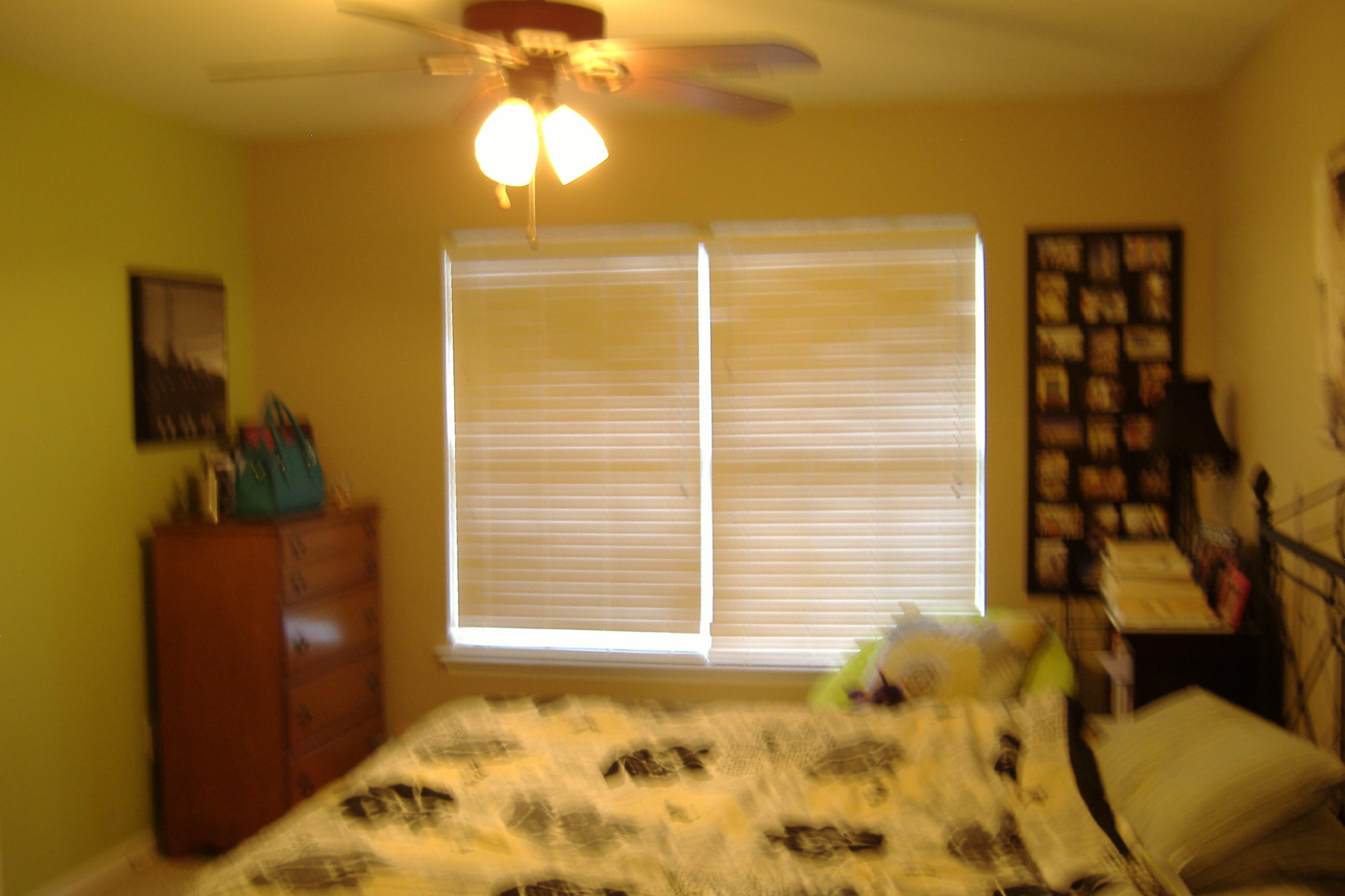 426 Doane Way Wando, SC 29492 - Photo 13 of 13 DSCF1490