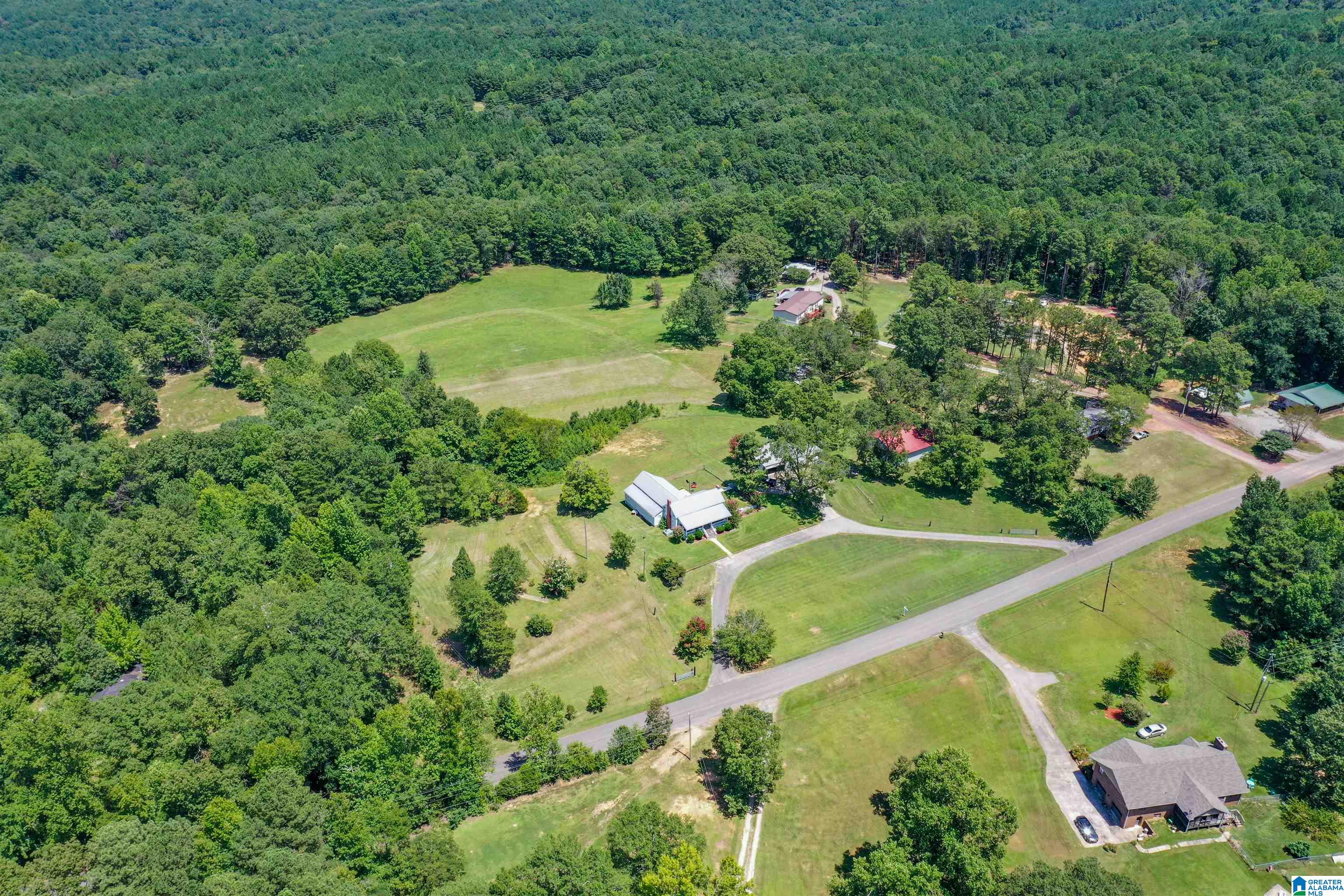 939 Buddy Vines Camp Road Bessemer, AL 35023 - Photo 62 of 79
