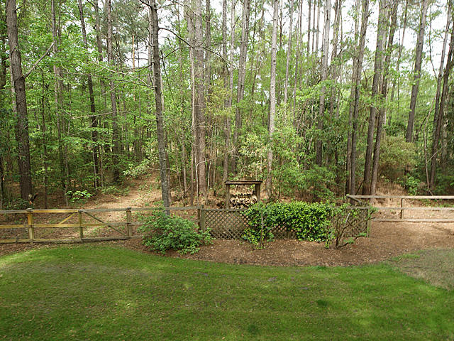2610 Preserve Road Johns Island, SC 29455 - Photo 61 of 68 Lawn to woods