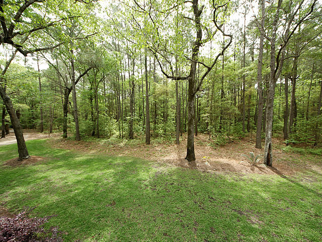 2610 Preserve Road Johns Island, SC 29455 - Photo 66 of 68 Perfect mix of wooded and lawnscapes