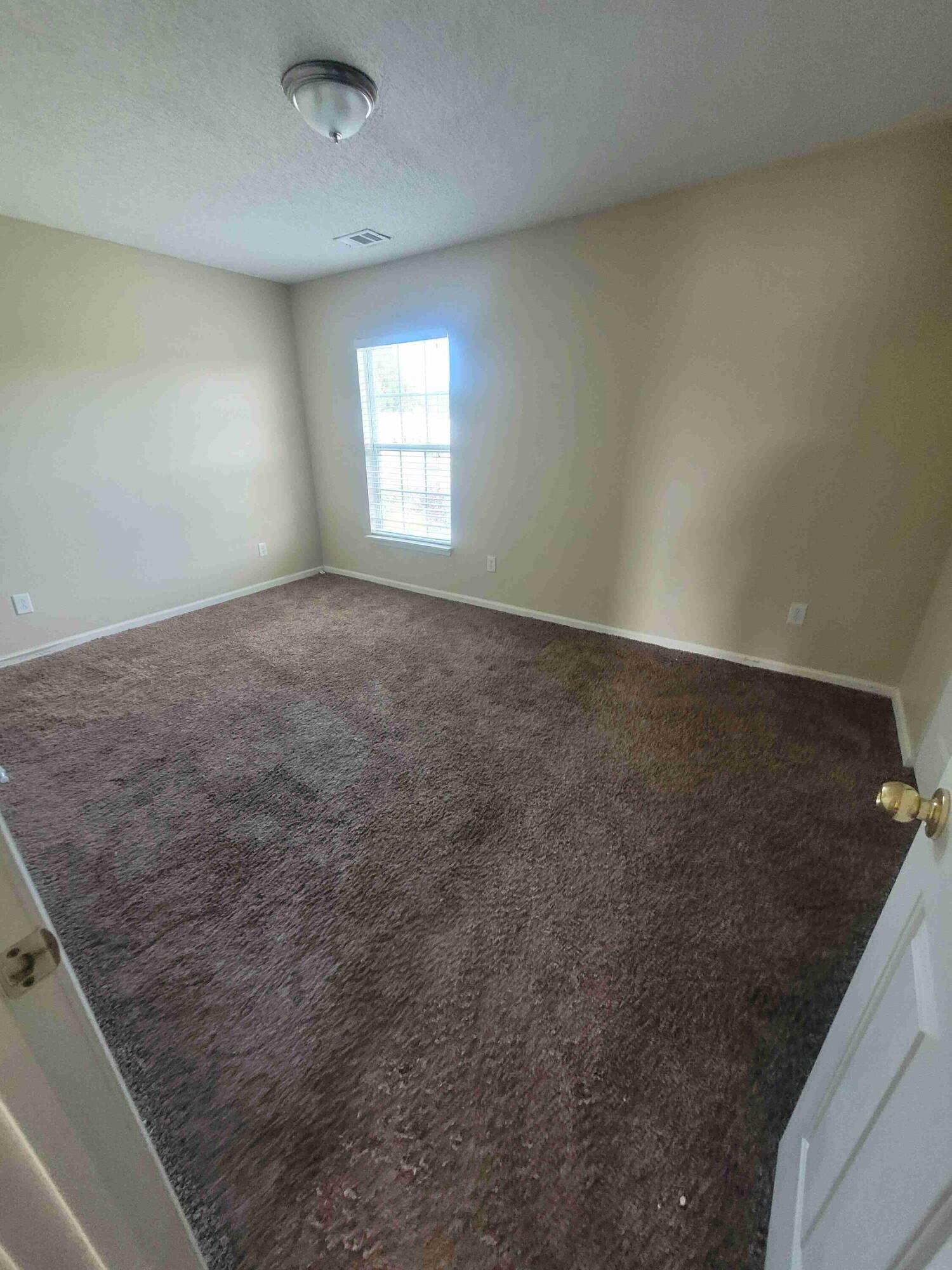105 Rundle Lane Summerville, SC 29483 - Photo 14 of 20 20240909_123239