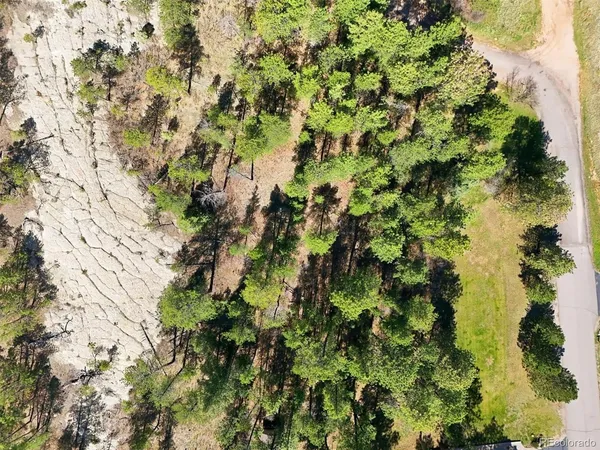 a view of a tree