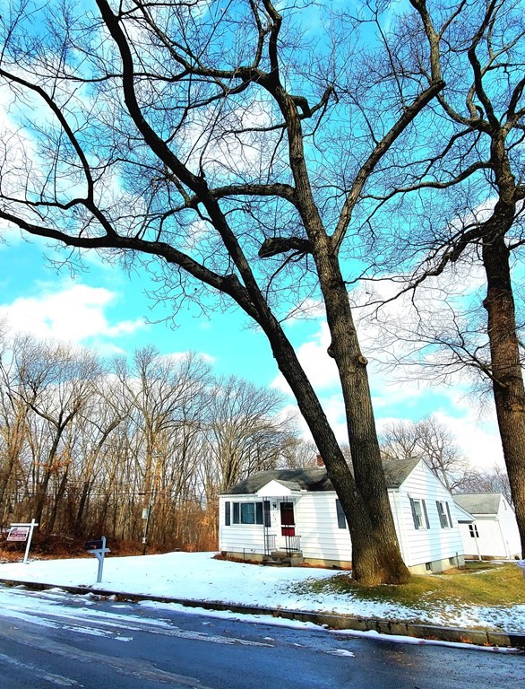 126 2nd Street Springfield, MA 01104 - Photo 4 of 21 Gallery Image 4