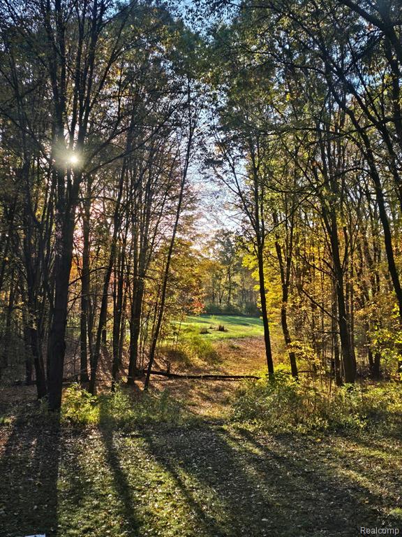 3316 Haynes Road Leslie, MI 49251 - Photo 66 of 73 Gallery Image 66