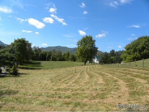 259 Max Thompson Road Canton, NC 28716 - Photo 3 of 24