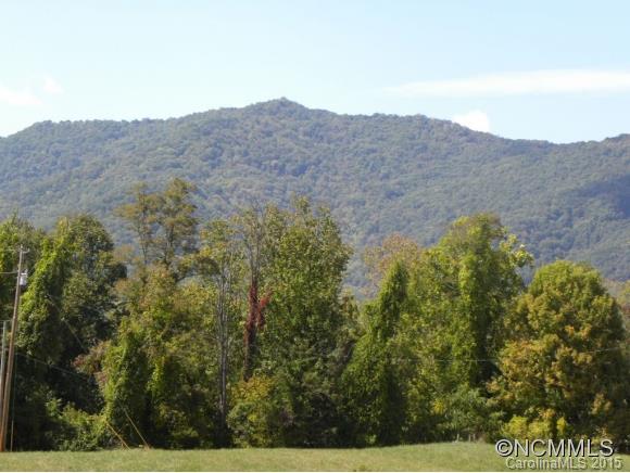 259 Max Thompson Road Canton, NC 28716 - Photo 4 of 24