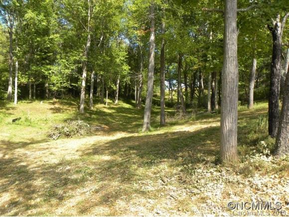 259 Max Thompson Road Canton, NC 28716 - Photo 9 of 24