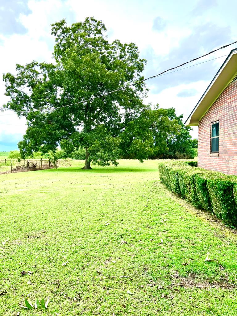 1601 Center Church Road Headland, AL 36345 - Photo 63 of 66 Gallery Image 63