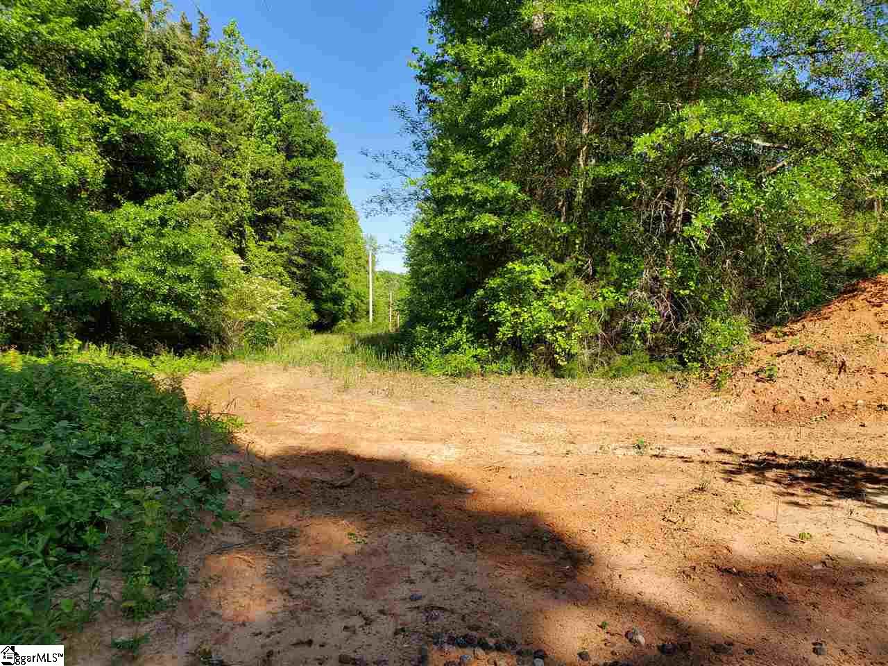736 Fleming Mill Road Central, SC 29630 - Photo 2 of 4 Gallery Image 2