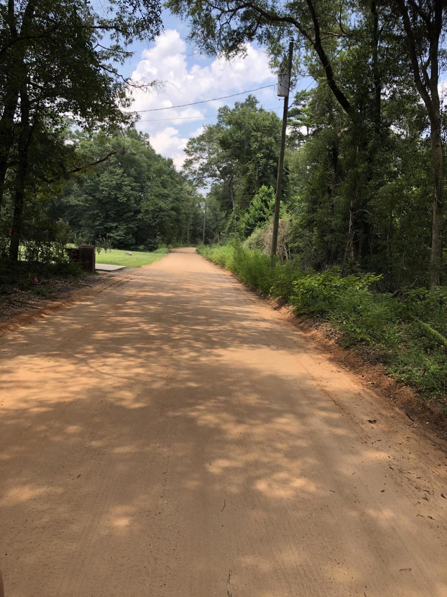 5263 Old Brown Road Baker, FL 32531 - Photo 2 of 7 a view of road with large trees