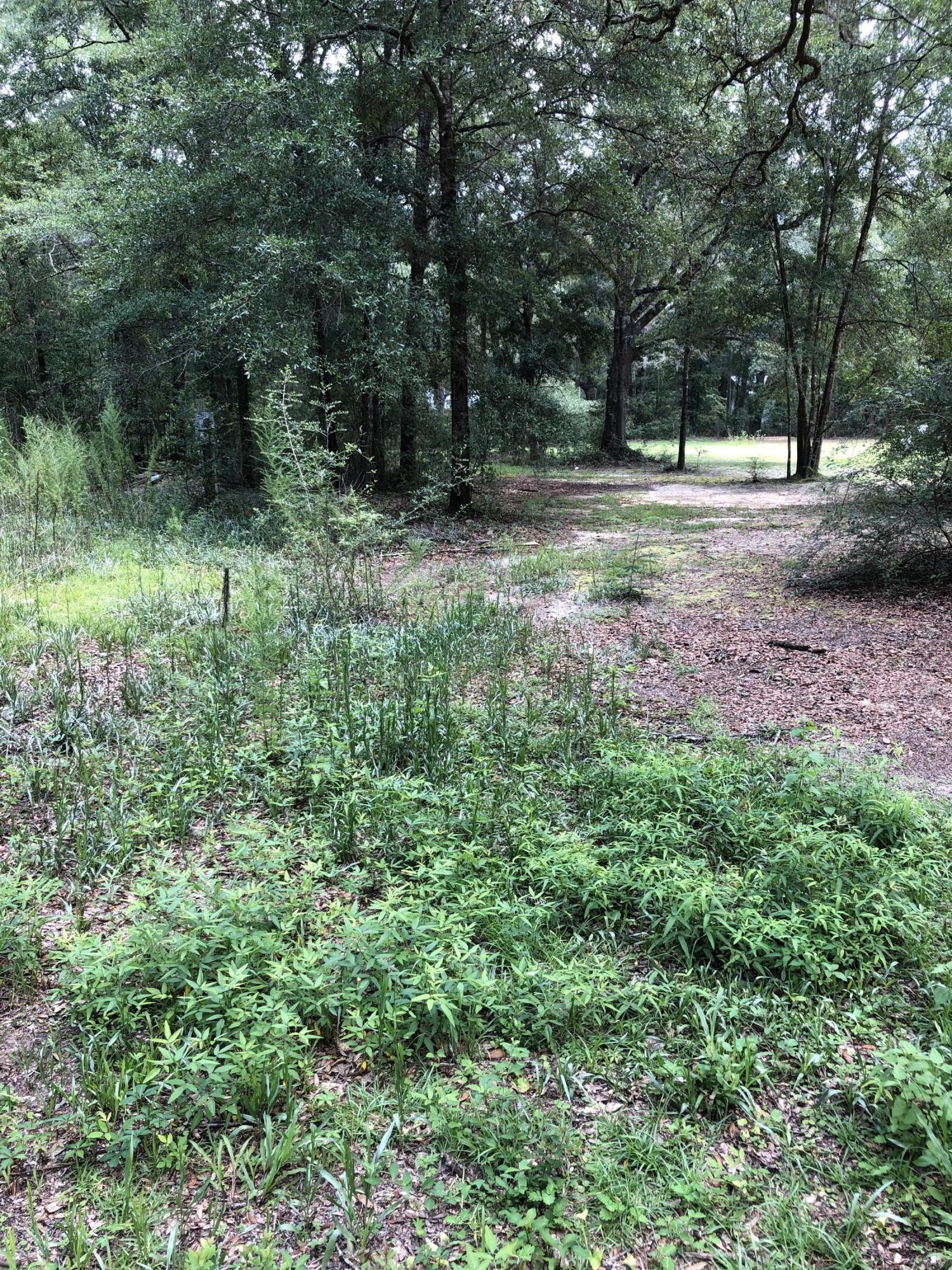 5263 Old Brown Road Baker, FL 32531 - Photo 5 of 7 a big yard with lots of green space and deers