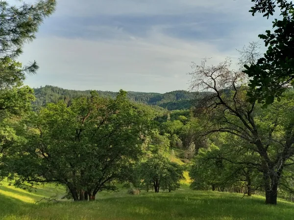 a view of outdoor space and yard