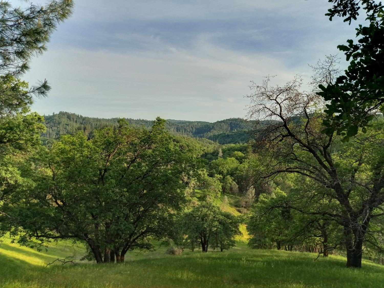 12274 Kenneth Court Grass Valley, CA 95949 - Photo 1 of 7 a view of outdoor space and yard