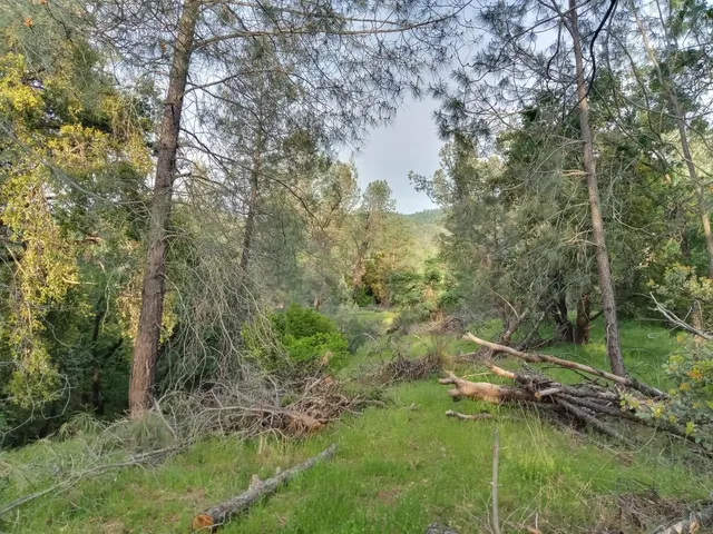 a view of a lake with a yard