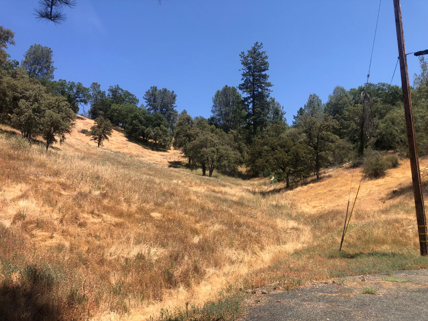 12274 Kenneth Court Grass Valley, CA 95949 - Photo 5 of 7 a view of a yard covered with snow in the background