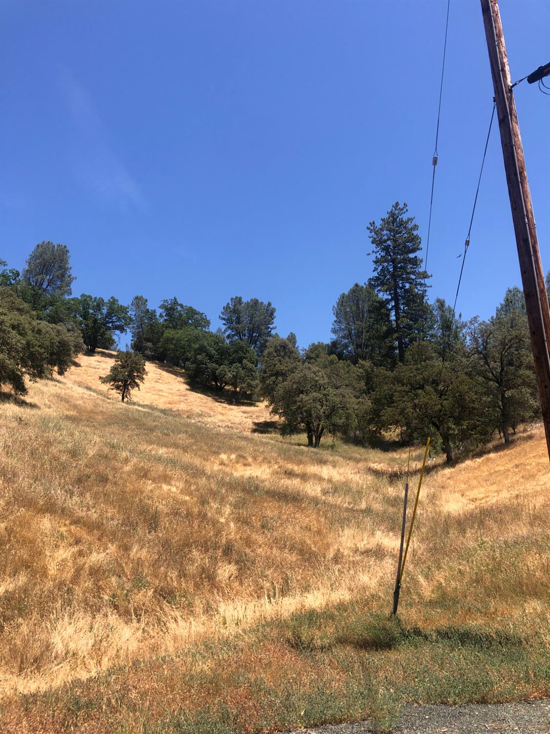 12274 Kenneth Court Grass Valley, CA 95949 - Photo 6 of 7 a view of a yard