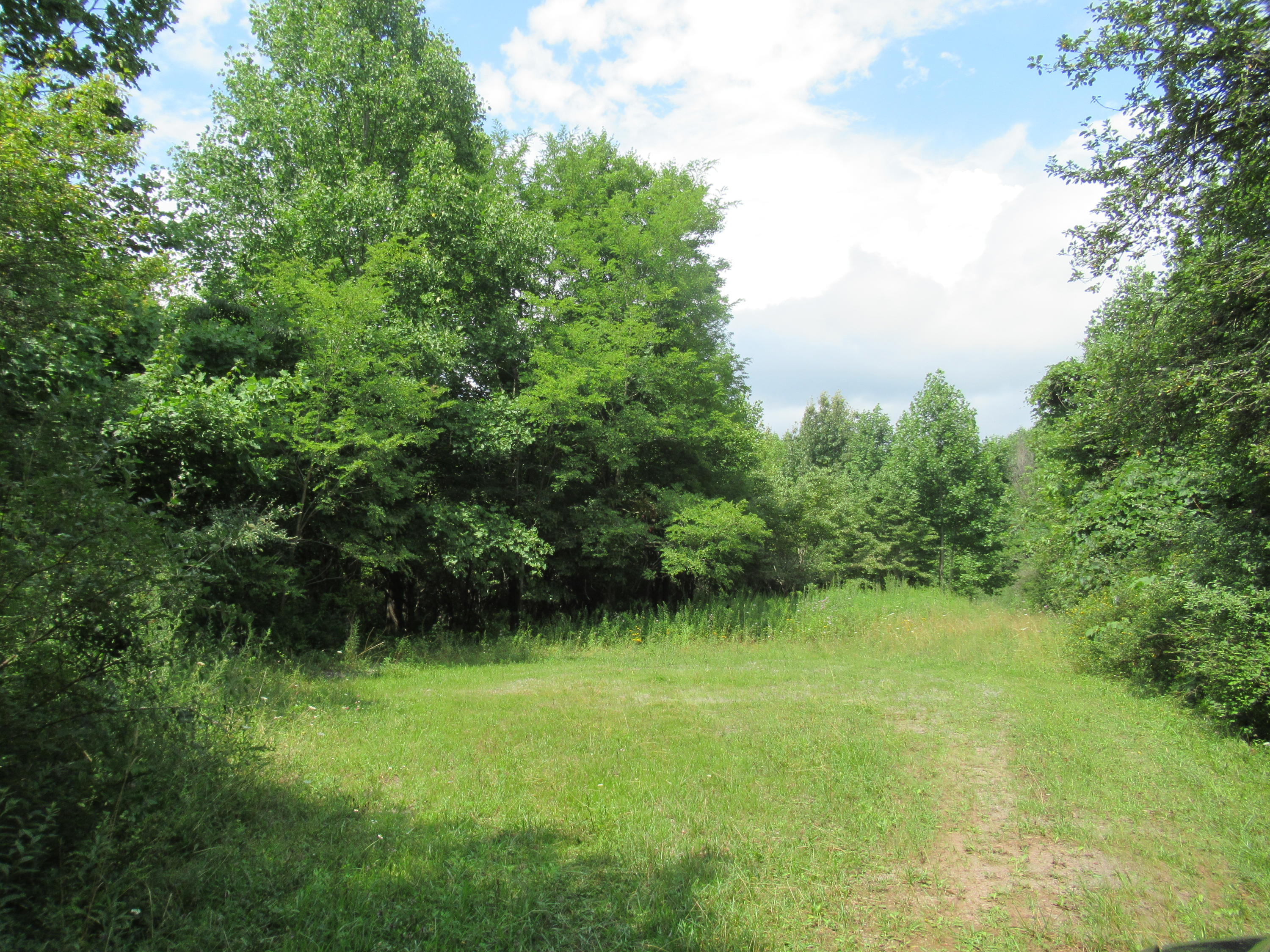 South Ridge Lane Alderson, WV 24910 - Photo 3 of 9 Gallery Image 3