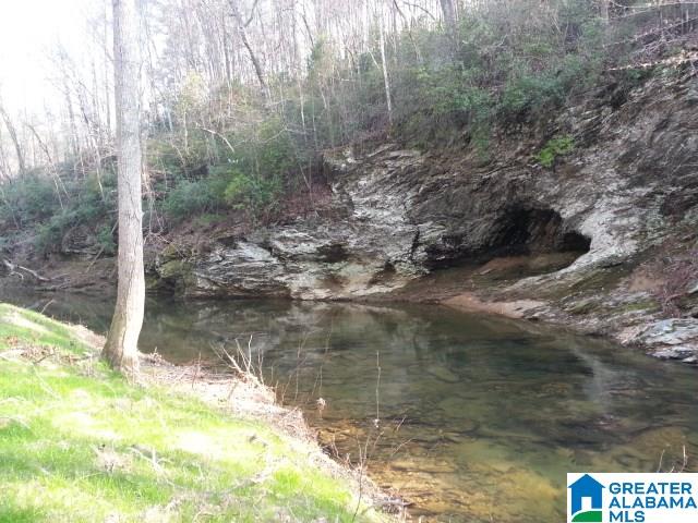 Creek Road, Unit 9 Munford, AL 36268 - Photo 1 of 1