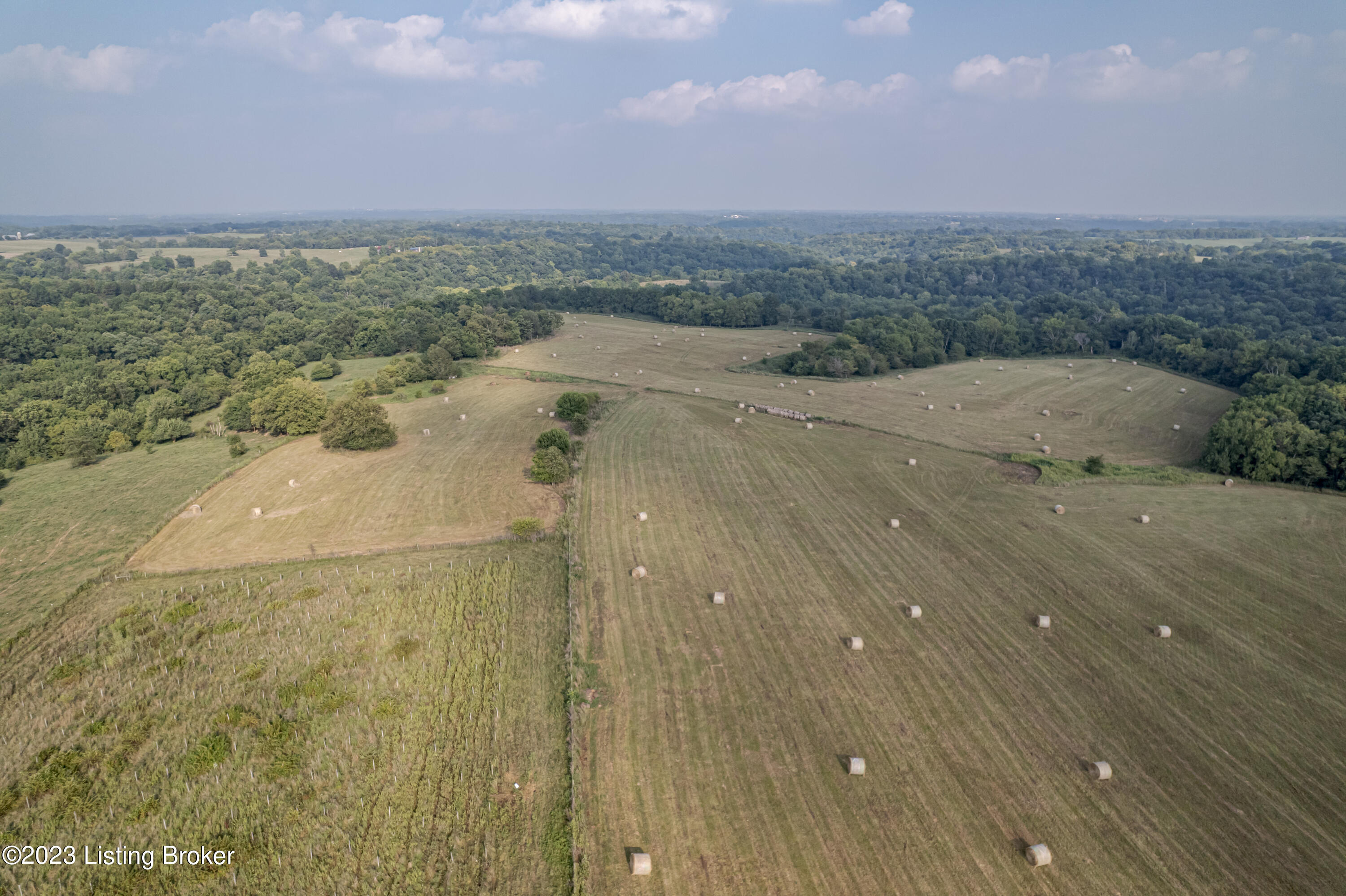 855 Drennon Road New Castle, KY 40050 - Photo 24 of 117 Farm20
