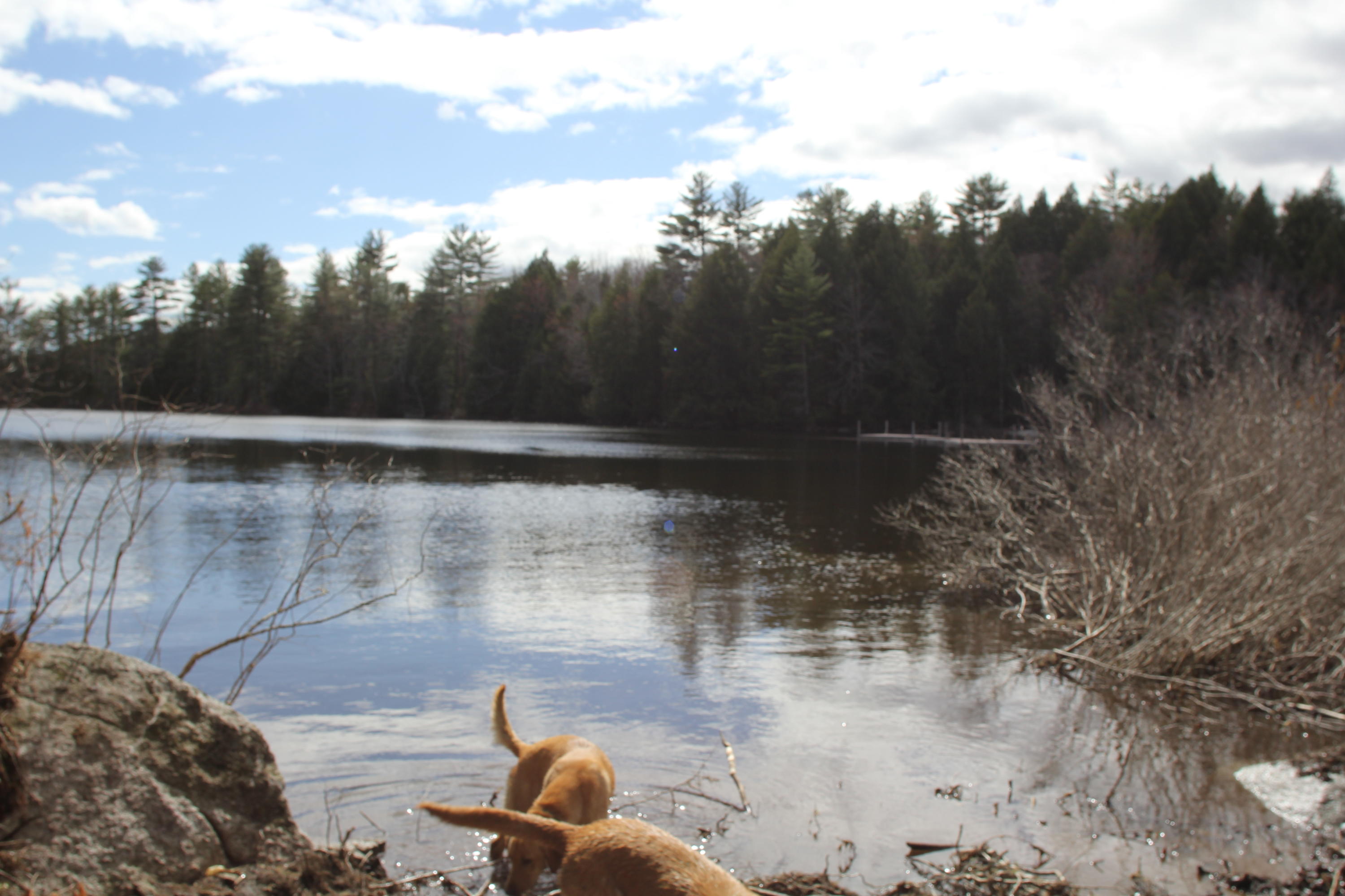 48 Pinnacle Road Canaan, ME 04924 - Photo 9 of 14 IMG_7514