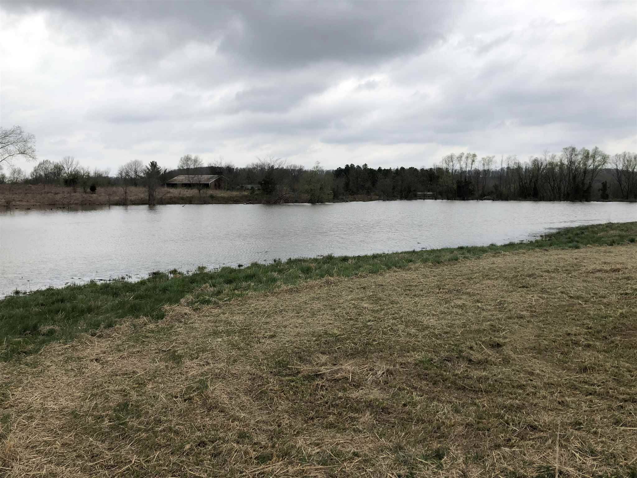 Walnut Ridge Road Grantsburg, IL 62943 - Photo 2 of 11