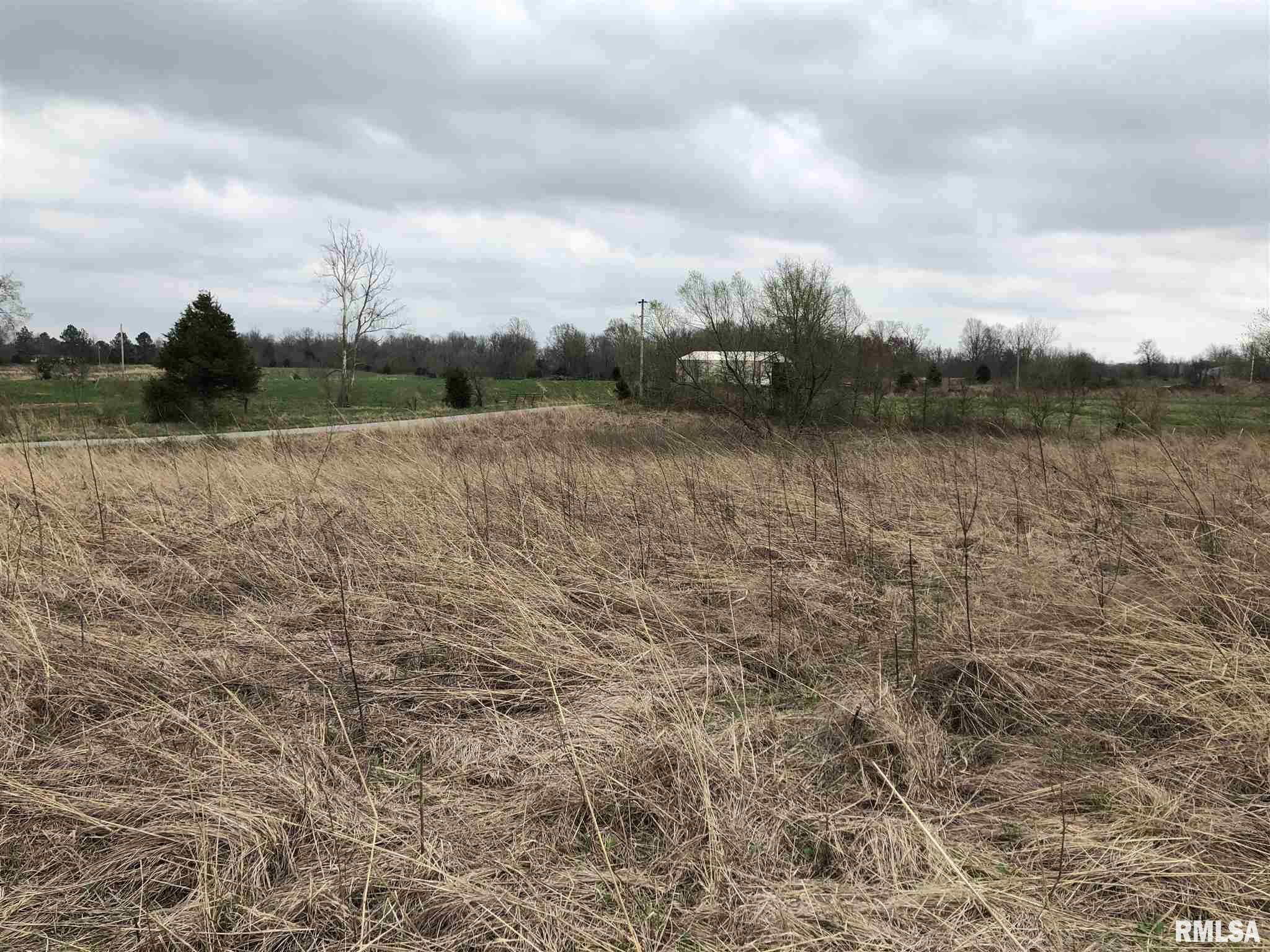 Walnut Ridge Road Grantsburg, IL 62943 - Photo 3 of 11