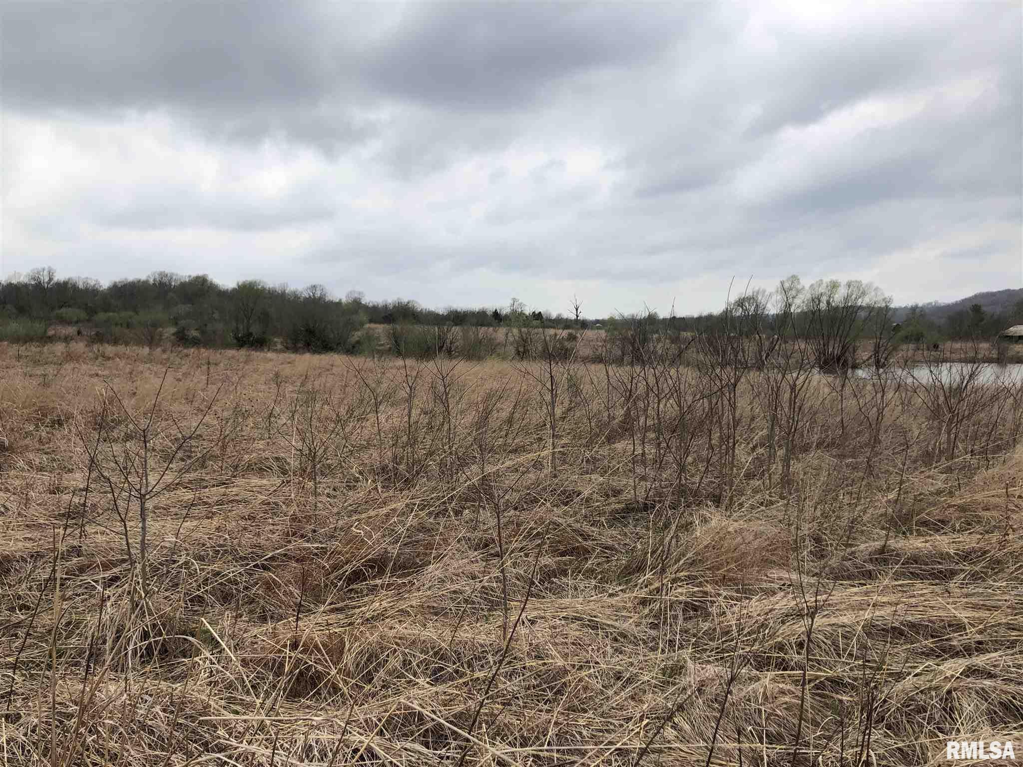 Walnut Ridge Road Grantsburg, IL 62943 - Photo 8 of 11