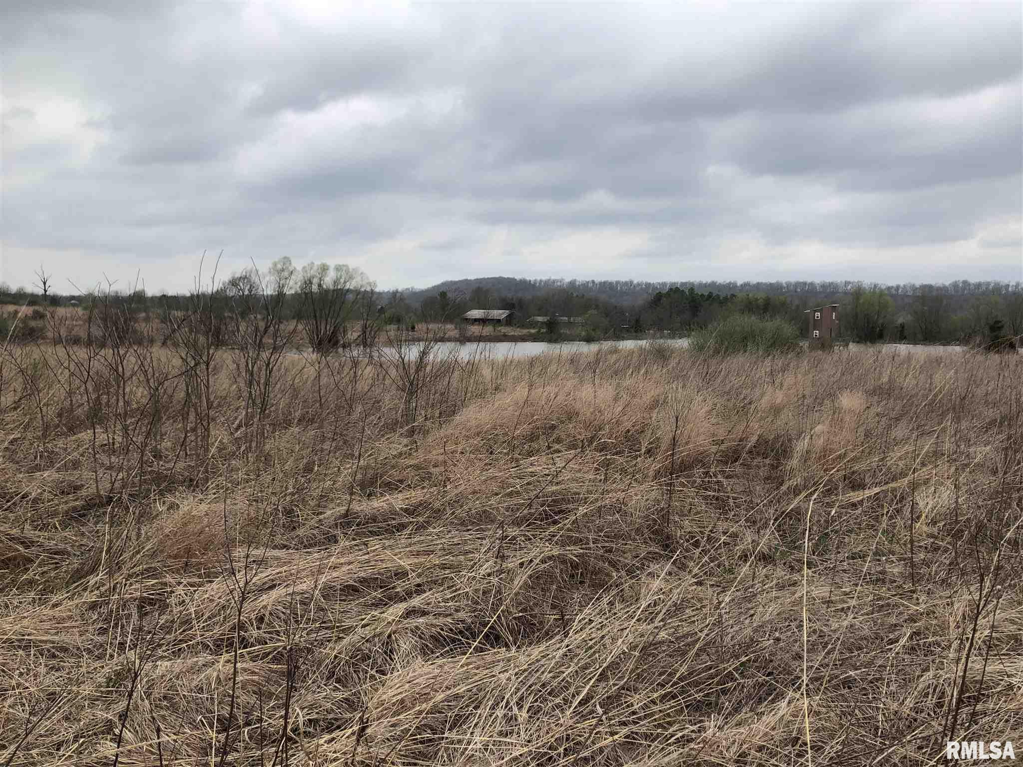 Walnut Ridge Road Grantsburg, IL 62943 - Photo 9 of 11
