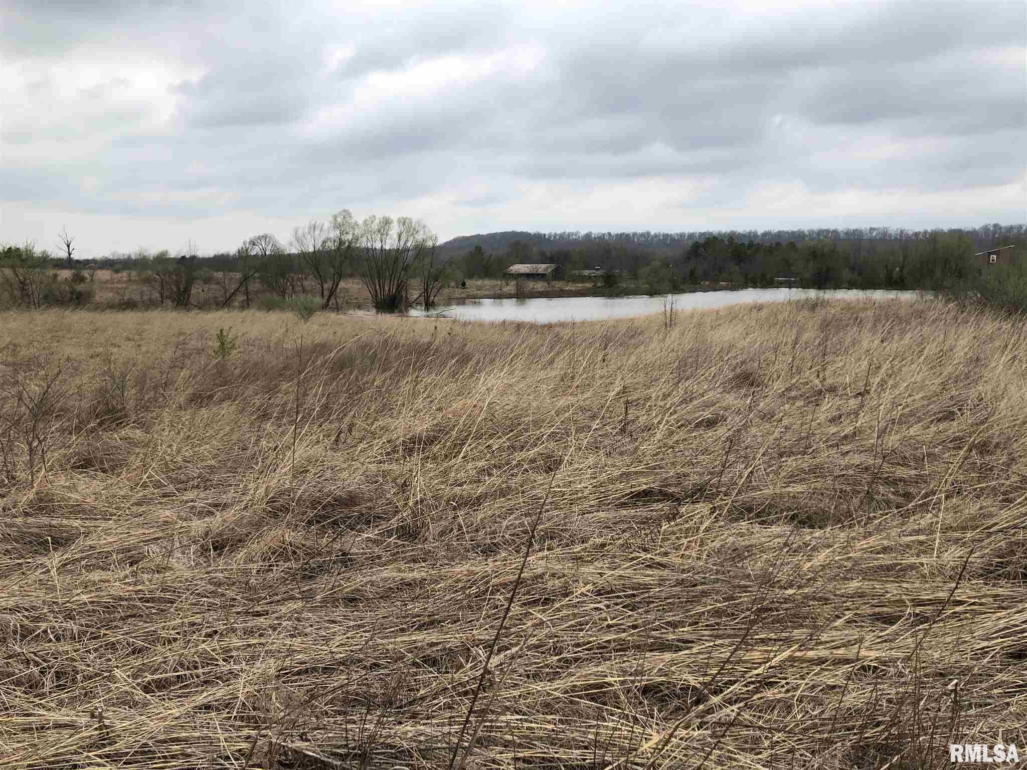 Walnut Ridge Road Grantsburg, IL 62943 - Photo 10 of 11