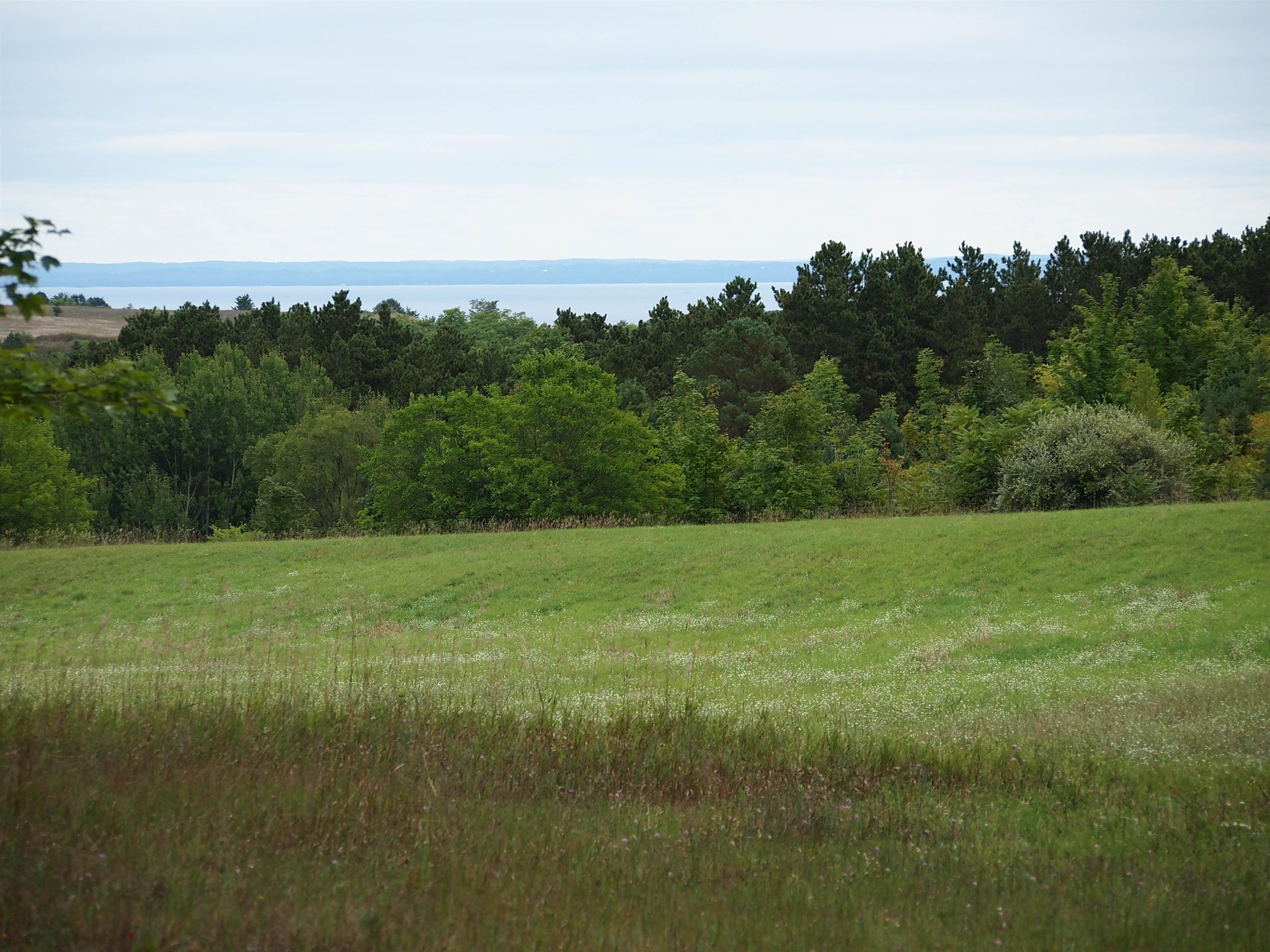 Parcel B East Duck Lake Road Suttons Bay, MI 49682 - Photo 20 of 35