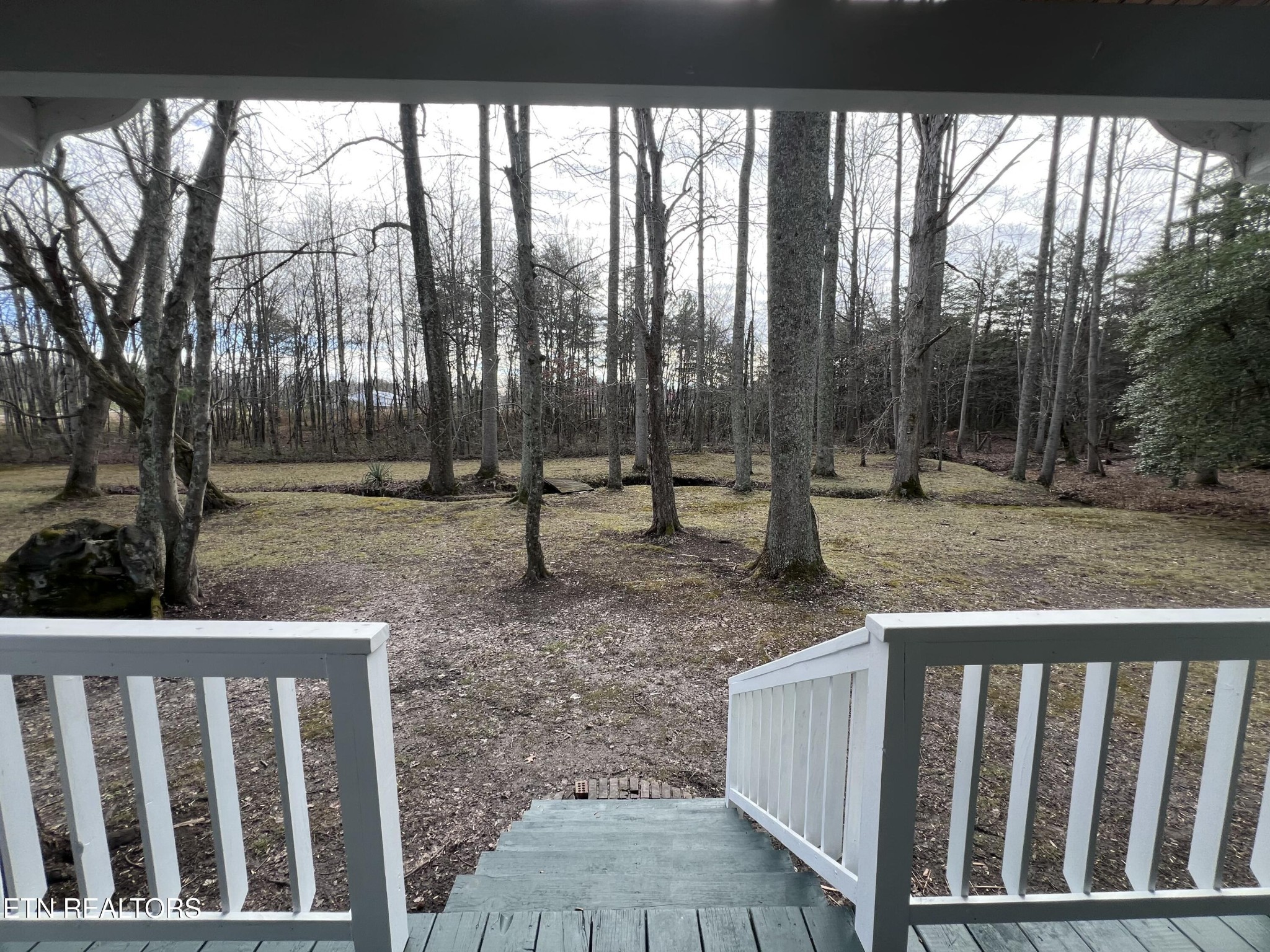 1028 Kennedy Road Jamestown, TN 38556 - Photo 3 of 51 a view of outdoor space with trees