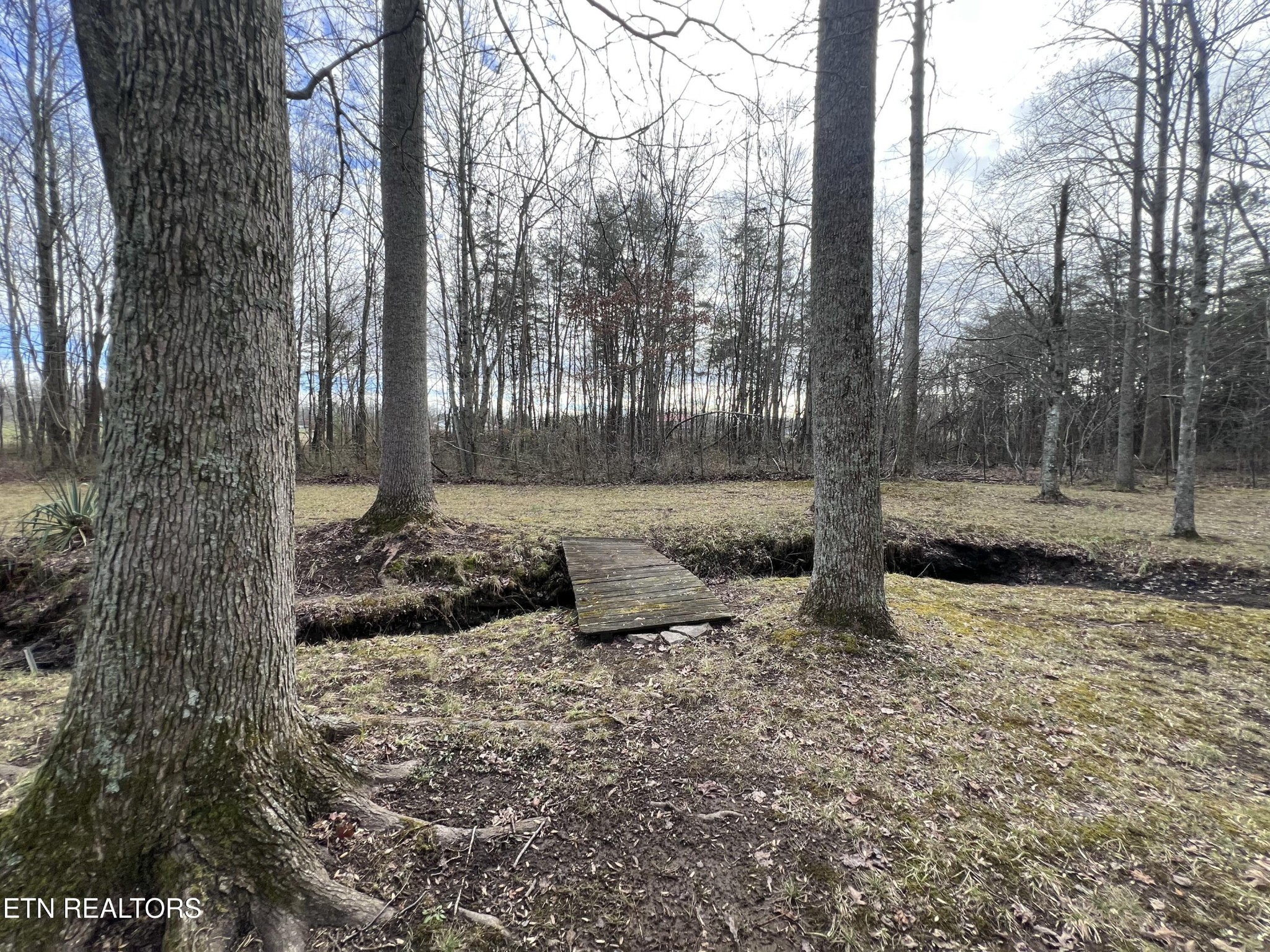 1028 Kennedy Road Jamestown, TN 38556 - Photo 8 of 51 a view of a fire pit with large trees