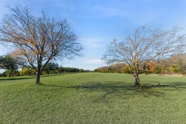 a view of a field with large trees