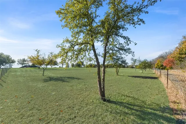 a view of a field with an trees